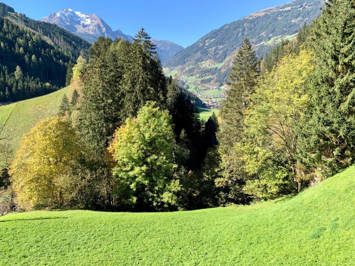 Natur Zeit - Alpine Garden Apartments ไมย์อาโฮเฟิน ภายนอก รูปภาพ